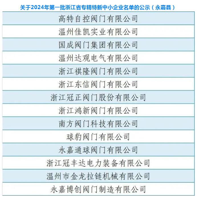 永嘉县球豹阀门等多家企业入选“2024年第一批浙江省专精特新中小企业名单”(图1)