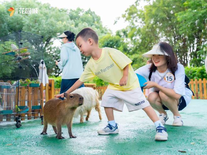 创新“心引力”看招商商管进阶共情力玩法！(图4)