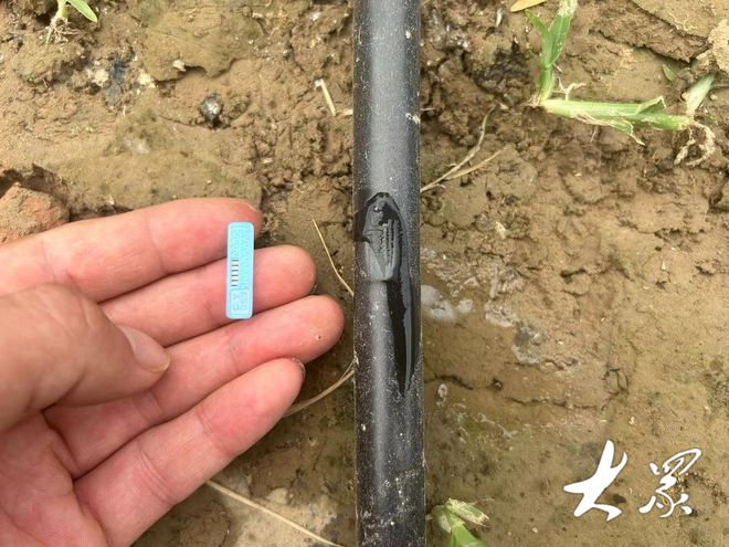 Kaiyun（中国体育）：站在生产路上把地浇！小流量滴灌亩均节水节肥40%以上(图3)