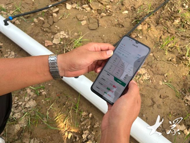 Kaiyun（中国体育）：站在生产路上把地浇！小流量滴灌亩均节水节肥40%以上(图6)