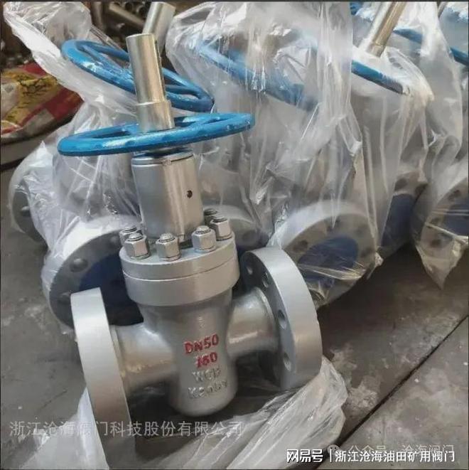 高压法兰平板闸阀Z43Y-沧海阀门(图1)