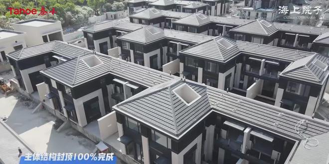 泰禾海上院子最新动态-奉贤领导『泰禾海上院子』视察指导保交房(图3)