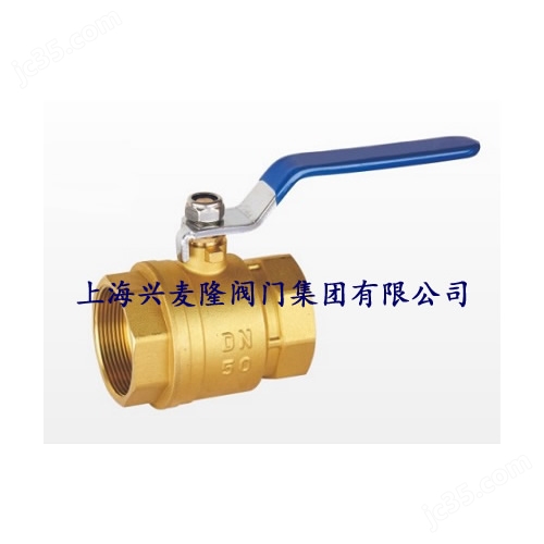 上海兴麦隆阀门集团有限公司(图1)