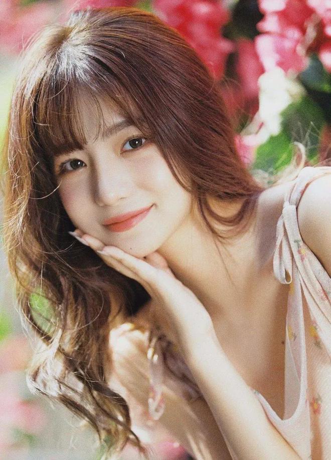 国精产品wnw254V(图1)