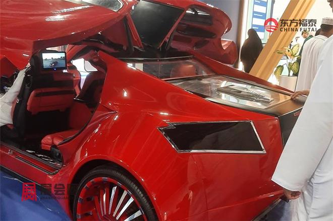 2025年中东阿曼新能源电动车及充电桩展OEVS2025(图11)