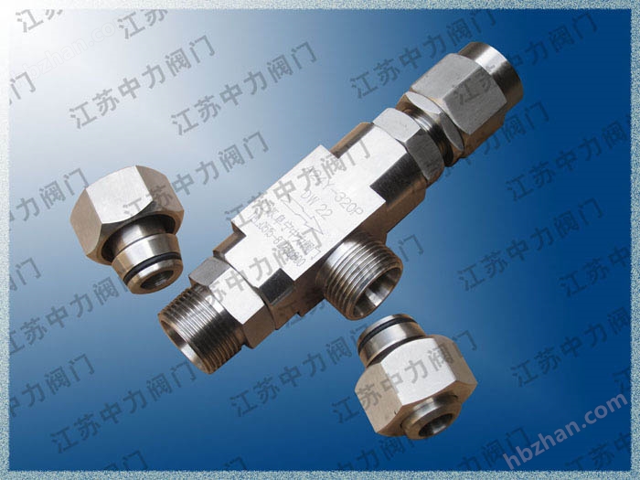 高压安全阀_高压焊接安全阀_CNG(图2)