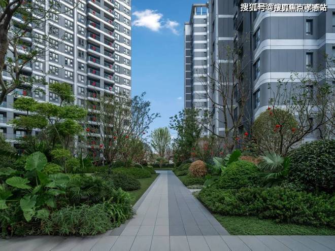 Kaiyun体育网站：中建玖海云天【上海】2025中建玖海云天网站-价格户型配套(图4)