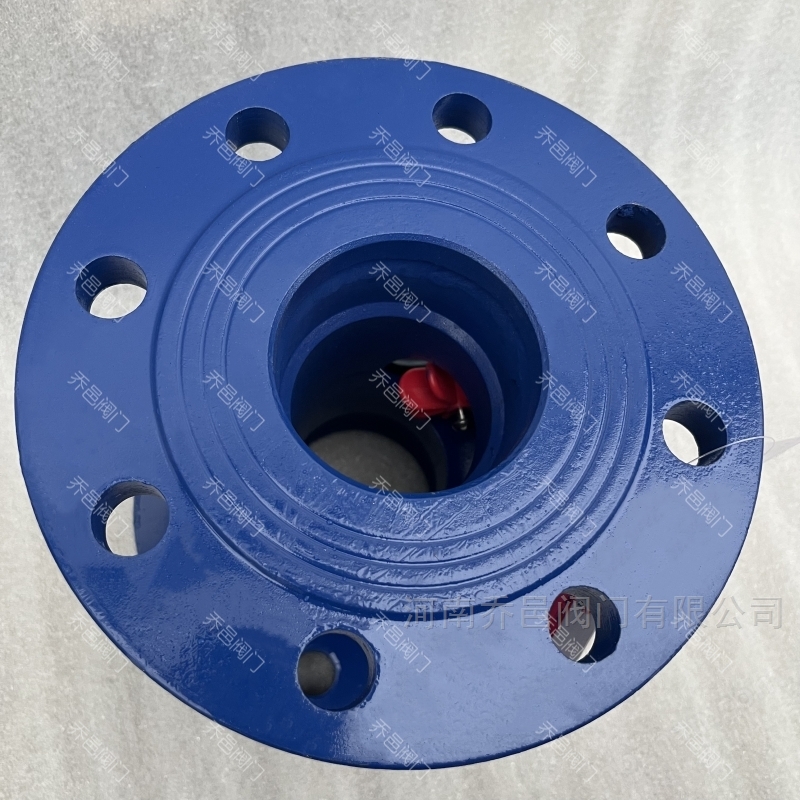 偏心叶轮视镜水流指示器(图1)