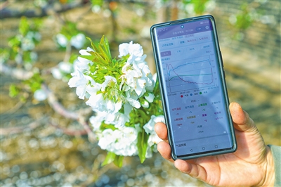 气象“高精尖”护航牧野粮仓(图1)