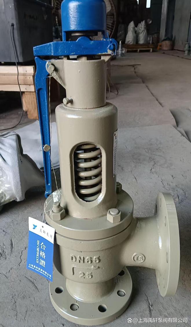 Kaiyun（中国体育）：上海禹轩A48Y-16C-DN50弹簧式安全阀新老交替助力广州一厂区设备(图3)
