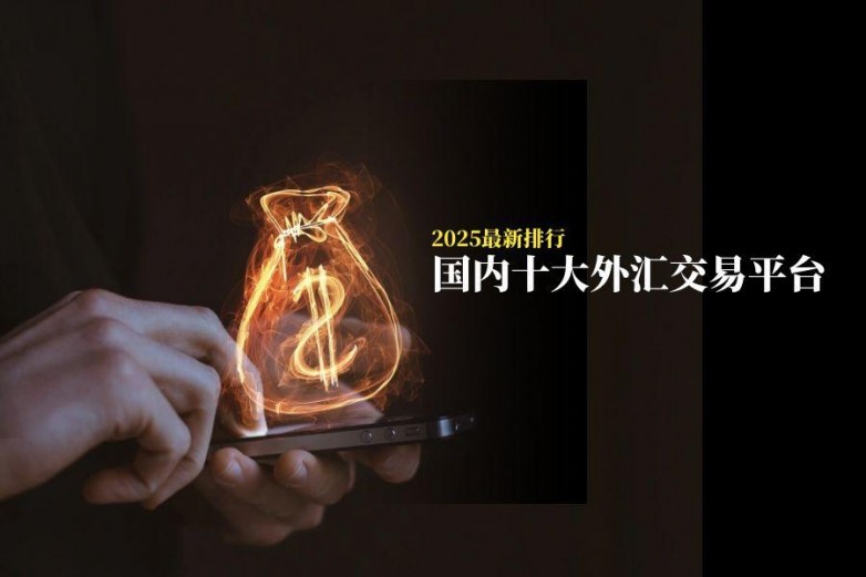 国内十大外汇交易平台2025最新(图2)