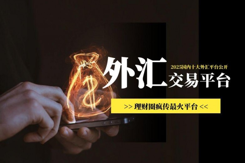 国内十大外汇交易平台2025最新(图1)
