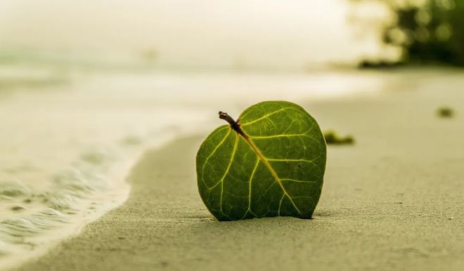 缺德到这种程度已经不是讽刺的问题了！(图2)