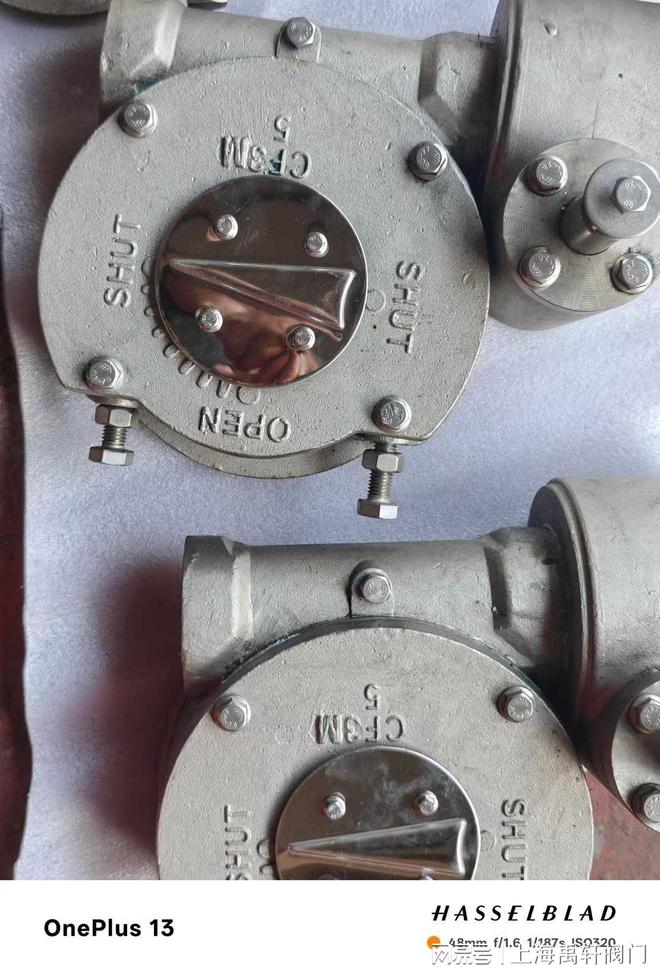 上海禹轩CFM3不锈钢管网式蜗轮箱将交付江苏阀门厂配套固定式球阀(图3)