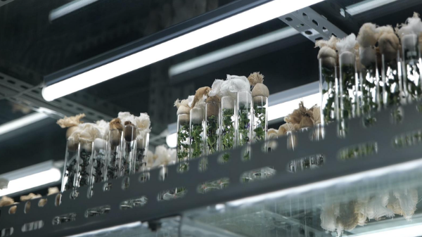 永昌：从“制造”到“智造”创新磁场激发产业升级新动能(图3)