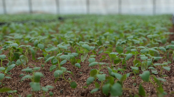 永昌：从“制造”到“智造”创新磁场激发产业升级新动能(图2)