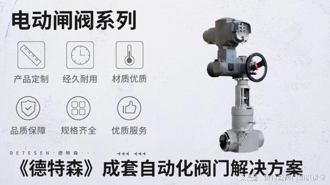 电动特种闸阀市场的知名品牌(图1)