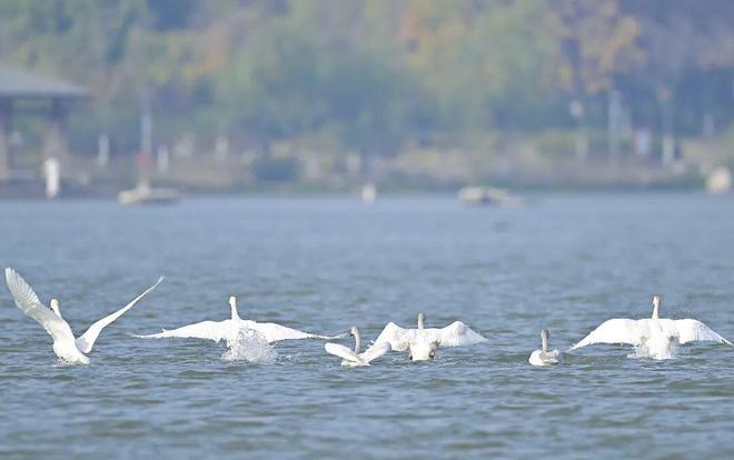 徐州运动员问鼎世锦赛冠军！(图5)