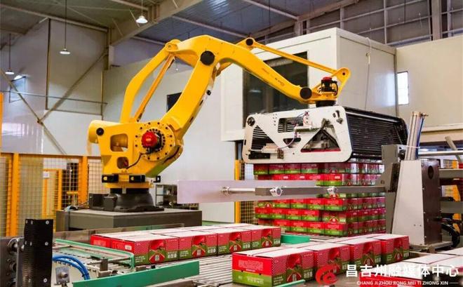 Kaiyun（中国体育）：庭州e评从“粮田”到“智田”：昌吉州奏响现代农业丰收交响曲(图4)