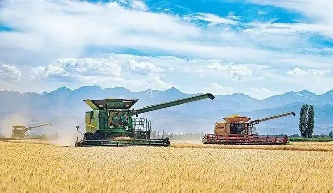 Kaiyun（中国体育）：庭州e评从“粮田”到“智田”：昌吉州奏响现代农业丰收交响曲(图2)