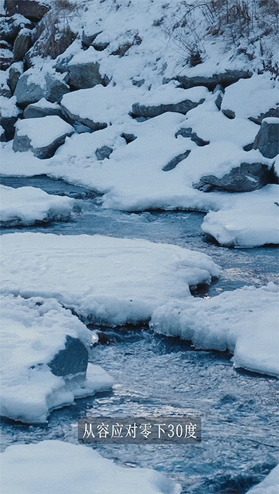 从极地科考站到国民衣橱波司登重新定义冬日御寒(图18)