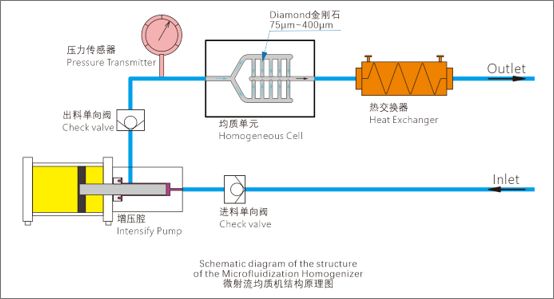 Kaiyun（中国体育）：精华液为什么要“极致”分散？微射流均质机工艺解读(图5)
